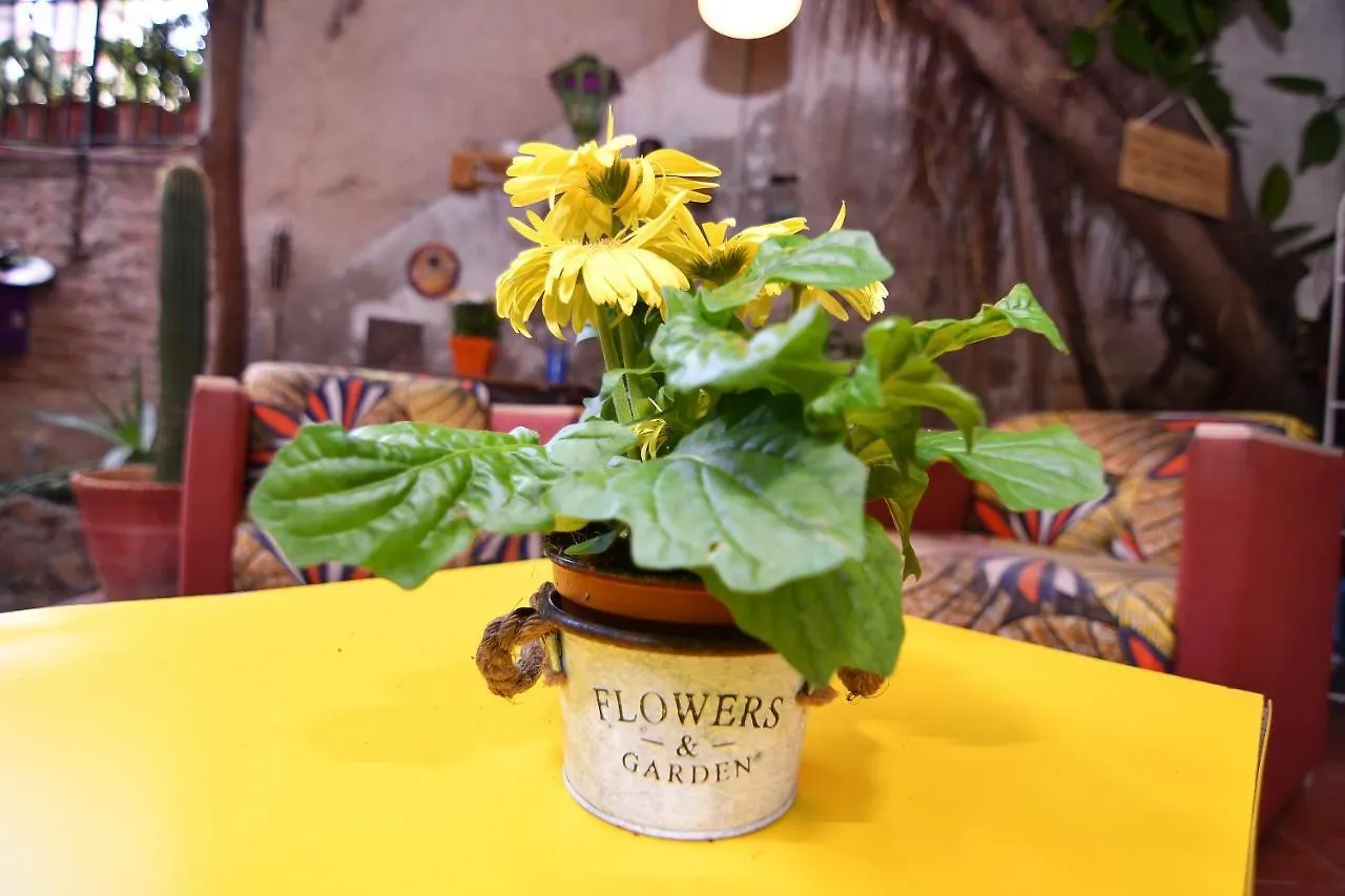 Alloggio in famiglia Green Door Gracia Appartamento Barcellona